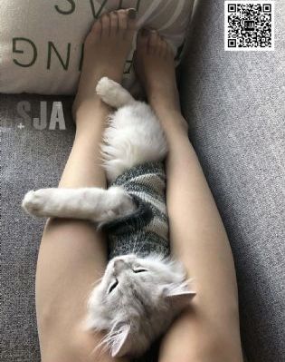 欧美专区在线_高清免费在线观看